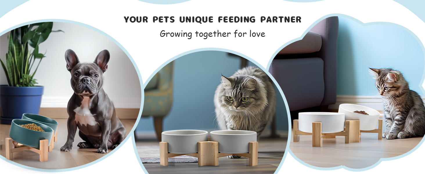 SpunkyJunky Adjustable Ceramic Dog Bowls - 2 Pack, 850ml, Green - Tiltable Pet Food Bowls for Dogs, Cats & Puppies with Bamboo Stand