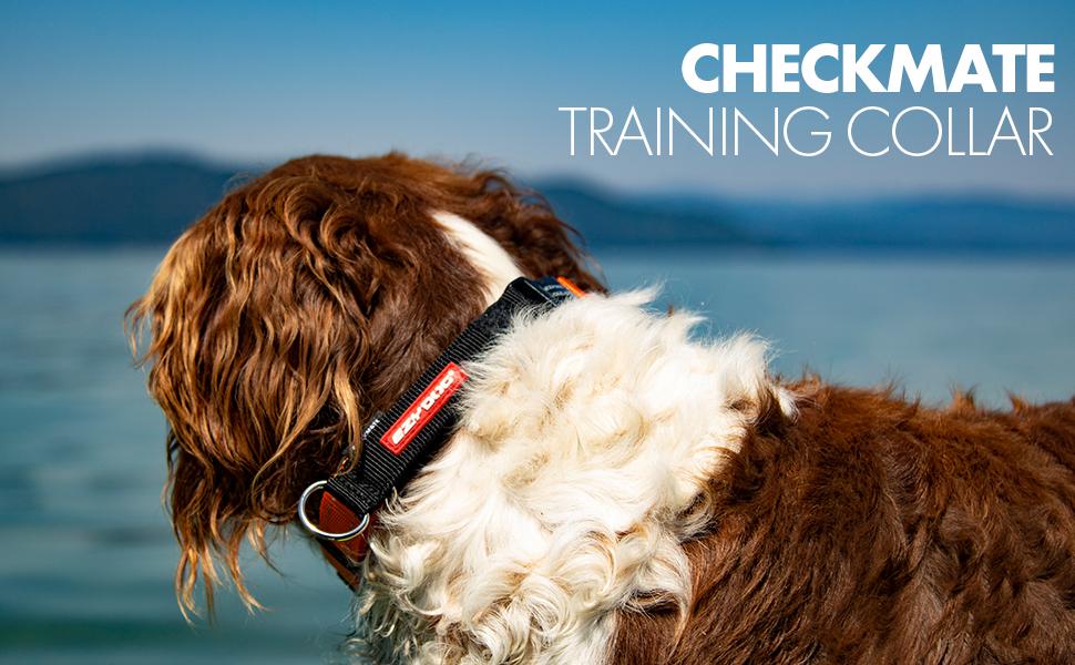 Нашийник для собак EzyDog Checkmate – нашийник-запобіжник буксирування, для дресирування, універсальний (S, червоний, 26-34 см)