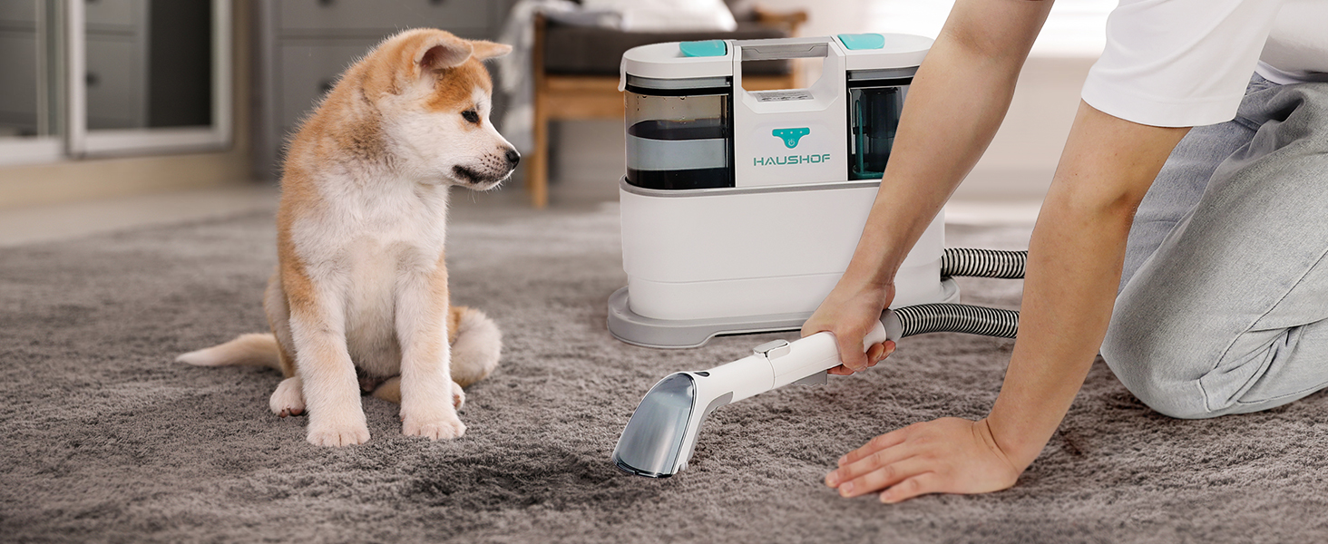 HAUSHOF StainZapper Pro: Професійний миючий пилосос для килимів, меблів та авто. Потужність 450W, 12kPa, об'єм 1,5+0,8L, з миючим засобом та щіткою для швів. Ефективний видалення плям з килимів, диванів, оббивки та салону авто.