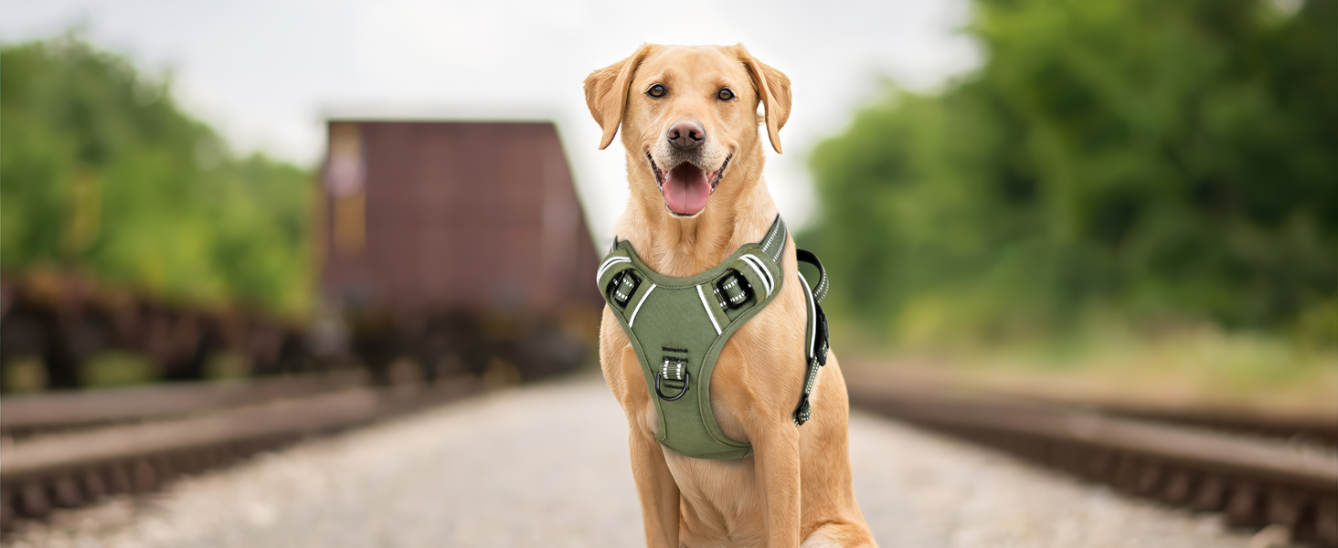 Нашийник для собак HEELE з посиленим кріпленням, світловідбиваючий, з м'якою ручкою, для контролю, 2 металеві кільця, для малих, середніх та великих собак, армійський камуфляж, зелений, M M MC-Armee Grün