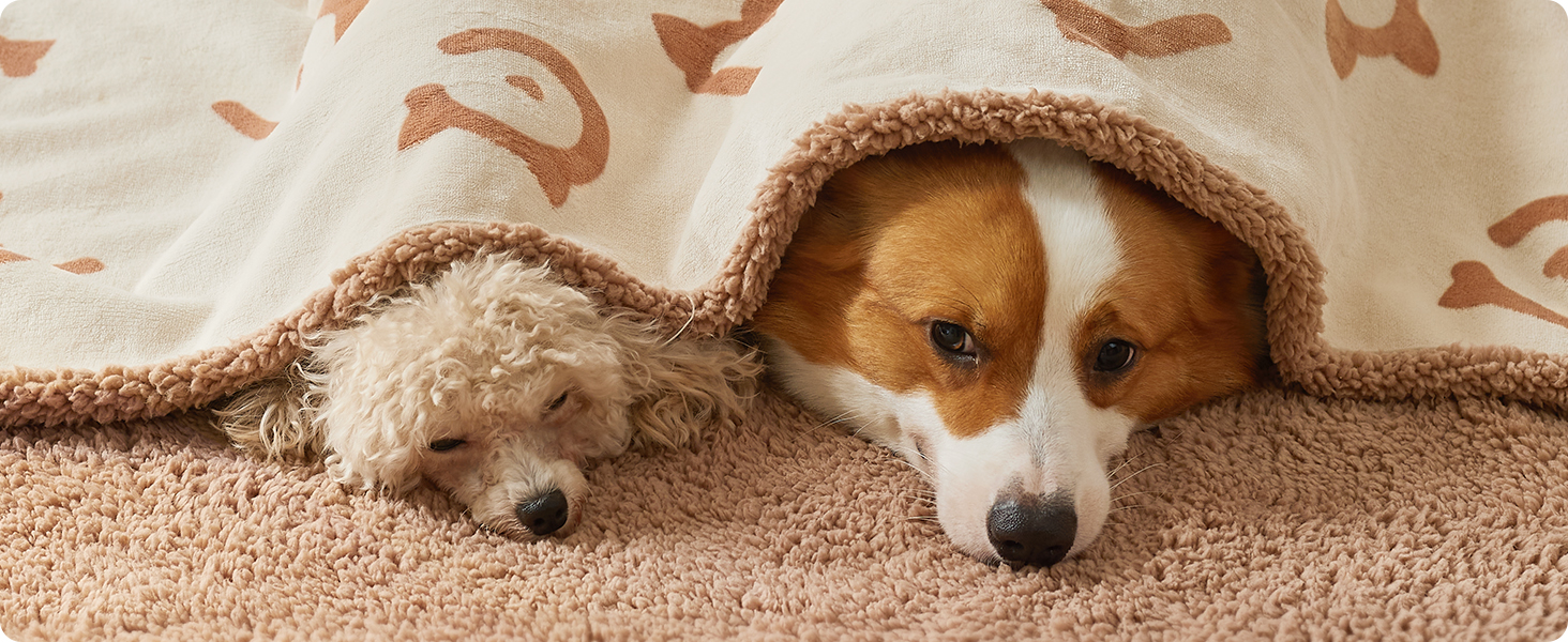 Водонепроникний коврик для собак Feandrea, Sherpa Fleece, 152x127 см, XL, для собак та котів, машинне прання, захист дивану, бежевий, XXL (203 x 152 см)