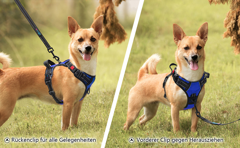 Шлейка для собак PHOEPET без тяги, світловідбиваюча, регульована, з ручкою, 2 кільця, 3 застібки (Королівський синій, Medium)