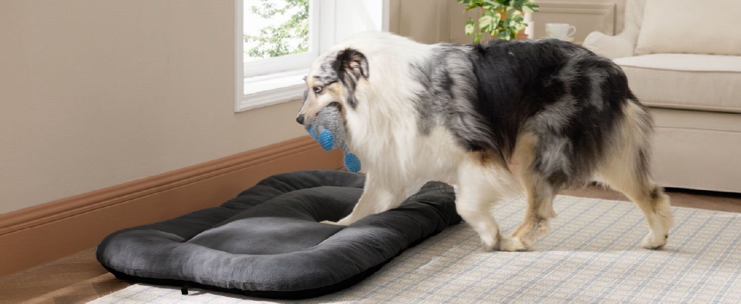 Килимок для собак BEDSURE середнього розміру - м'який, зручний, з неслизьким дном, 74x46 см, темно-сірий