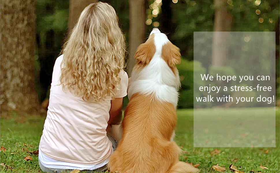 Поводок для собак YankMooM 6-в-1: багатофункціональний, регульований, з надійним амортизатором. Підходить для бігу, прогулянок, тренувань, поїздок в авто з собаками середніх та великих порід. Включає автомобільний ремінь безпеки (1,5 - 2,4 м)