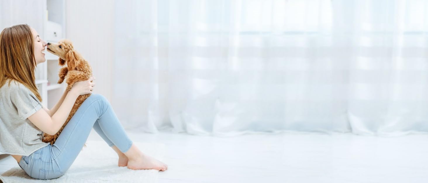 LED-нашийник для собак, перезаряджається через USB, водонепроникний, яскравий, регульований, для середніх та великих собак (зелений, M)