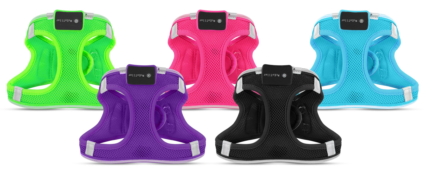 Світловідбиваючий нашийник для собак PcEoTllar з LED підсвічуванням, рожевий (3 режими)