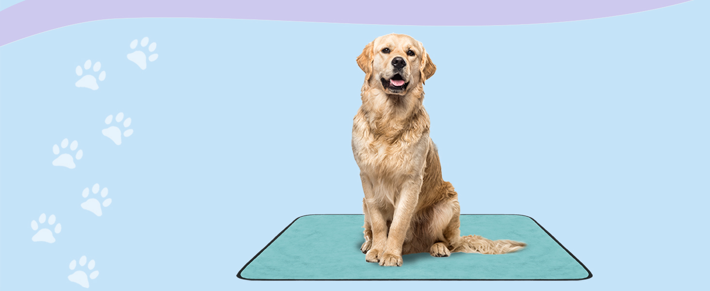 М'яка ковдра для собак Normani - килимок для тварин з безпечного матеріалу, 40x50 см, 60x80 см, 70x100 см, сірий колір