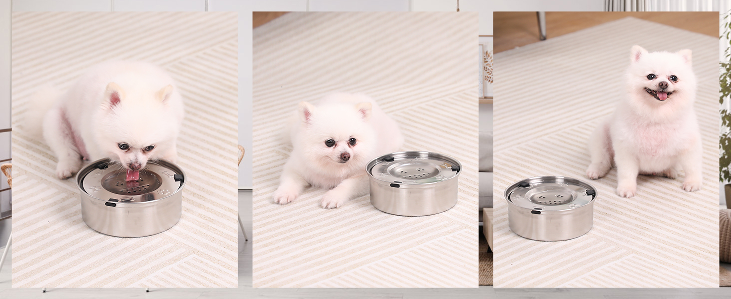 Миска для собак 1л, не протікає, з нержавіючої сталі, протиковзаюча, легко миється, срібна