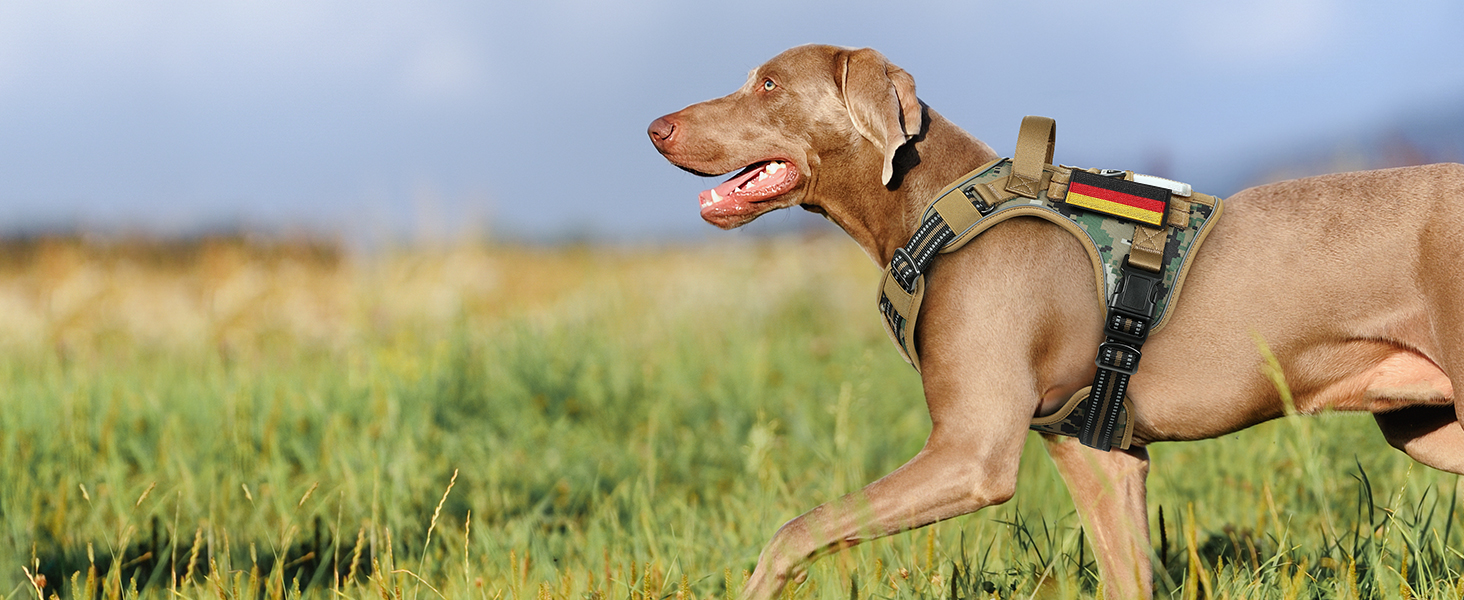Нагрудник для собак Rabbitgoo середнього розміру, анти-тяга, регульований, з ручками, міцний, тактичний, з металевими пряжками, камуфляжний, коричневий (M, 1 шт.)