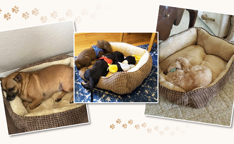 JOEJOY Dog Bed, Medium-Sized Dogs, Washable Dog Basket, Fluffy, Non-Slip Plush Dog Bed, 63x53x20cm, Dog Beds for Small and Medium Dogs and Cats (L 76 x W 61 x H 23 cm, Brown)