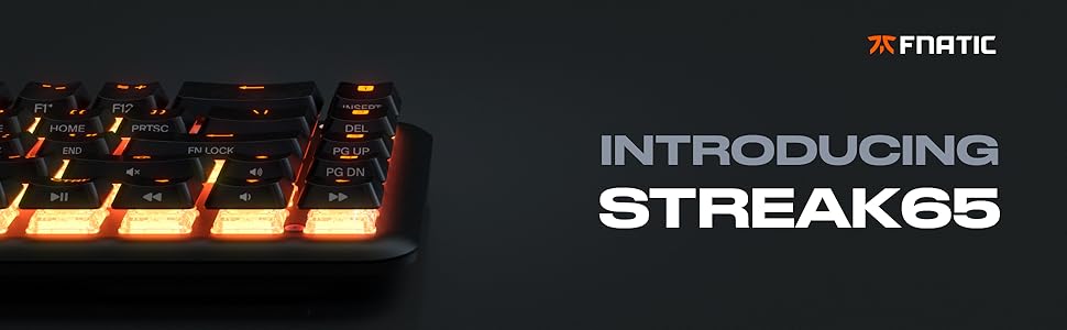 Механічна ігрова клавіатура Fnatic STREAK65 з RGB-підсвічуванням та швидкими срібними перемикачами (65% layout, DE/QWERTZ)