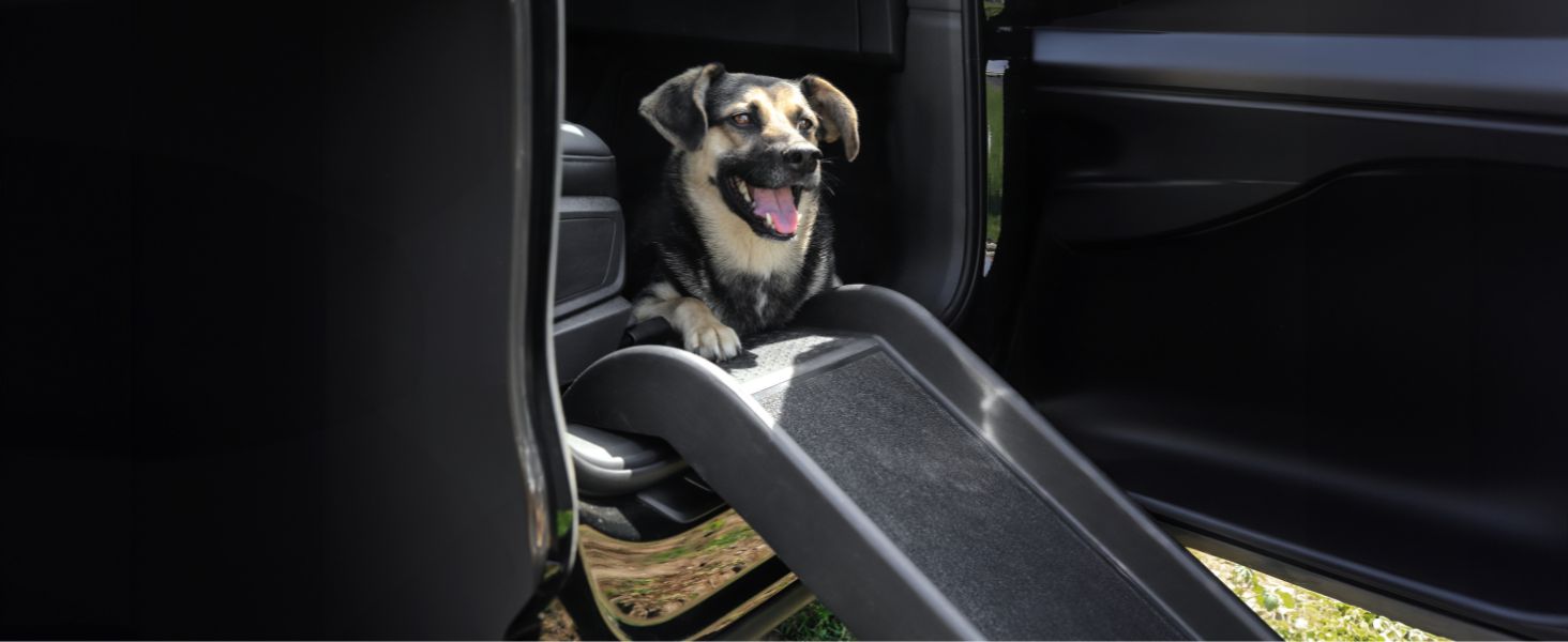 Рампа для собак Lionto до 90 кг, чорна, 100x38 см. Міцна, з антиковзким покриттям, для завантаження в багажник, щадить суглоби.