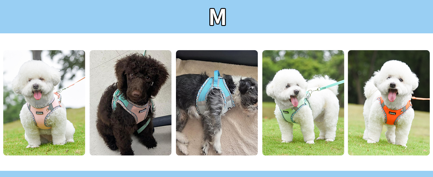 Нашийник та поводок для собак: комплект для прогулянок, нашийник для навчання цуценят, м'який дихаючий аксесуар для домашніх тварин, світловідбиваючі смуги, для дуже маленьких собак та котів, блакитно-рожевий, XXXS