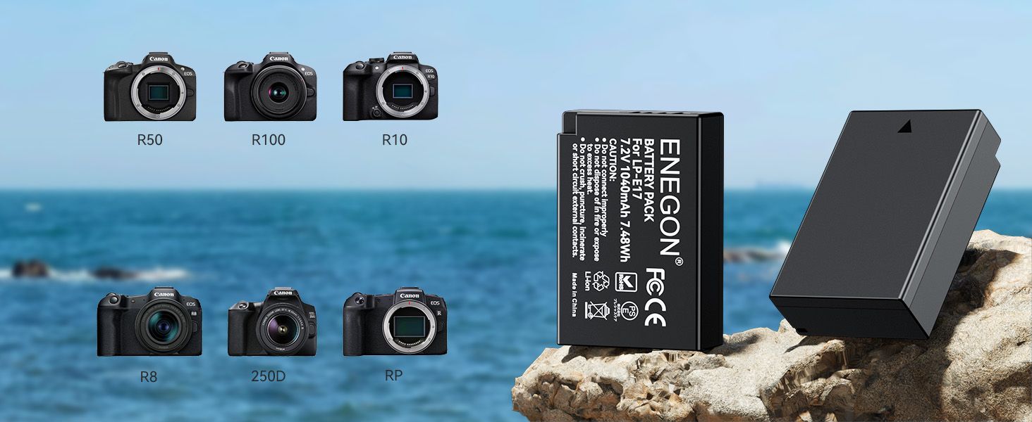 Акумулятор для камери Canon LP-E17 ENEGON з зарядним пристроєм Dual Micro USB (2 шт.)