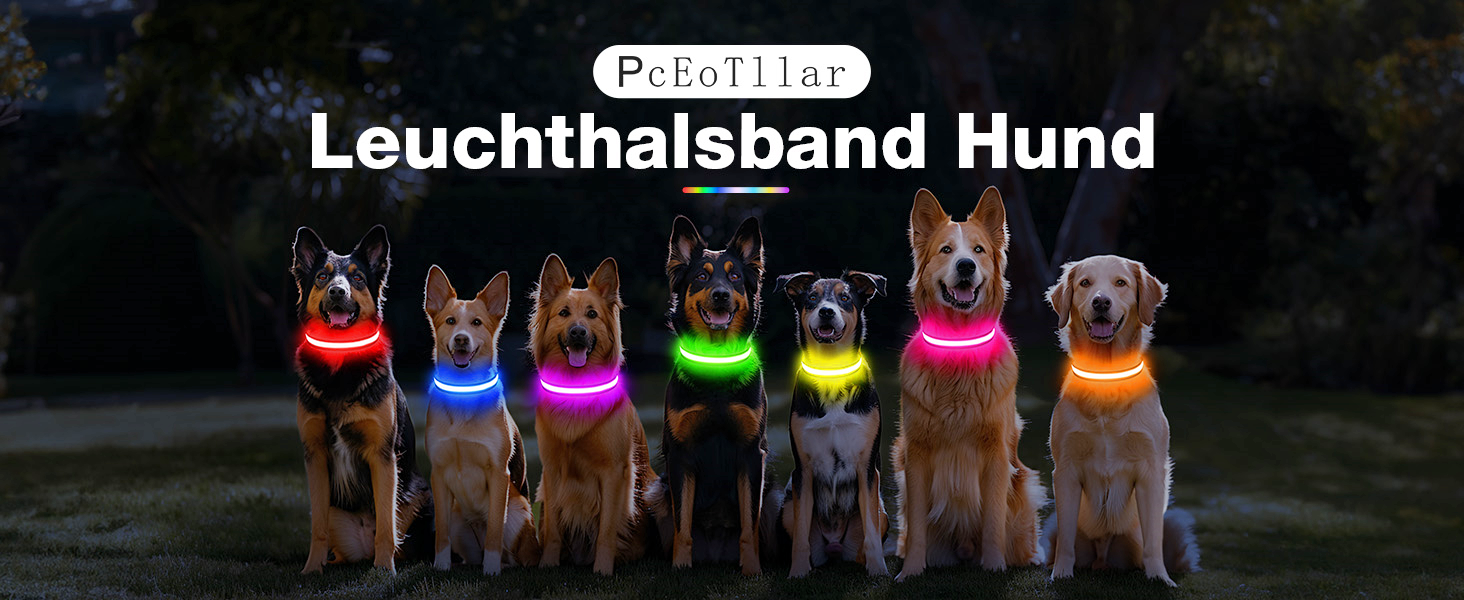 LED нашийник для собак з підзарядкою, вологостійкий світлодіодний нашийник, 7 кольорів, регульований для малих та великих собак, блакитний (L)