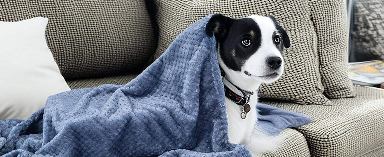 SLSON Деки для собак та котів, м'які, двосторонні, 70x100 см (фіолетовий, чорний, синій)