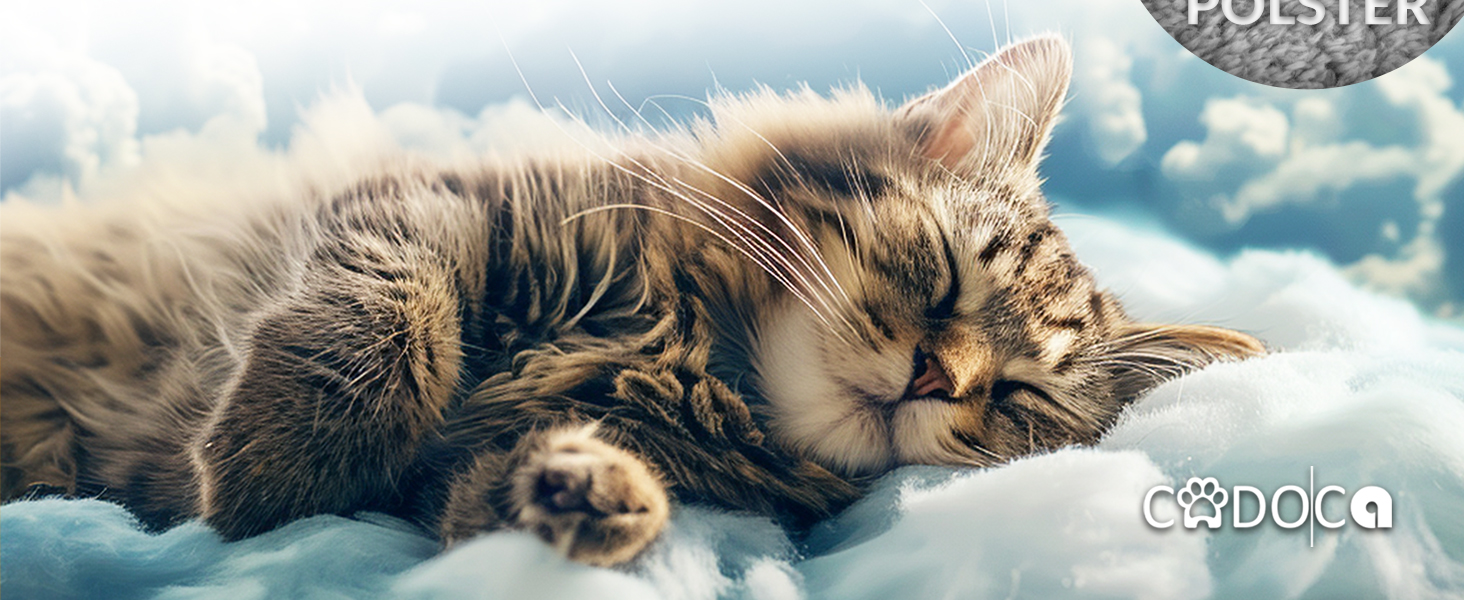 Рюкзак для тварин до 20 кг, регульовані ремені, складаний, короткий поводок, чорний. Ідеально для собак та котів