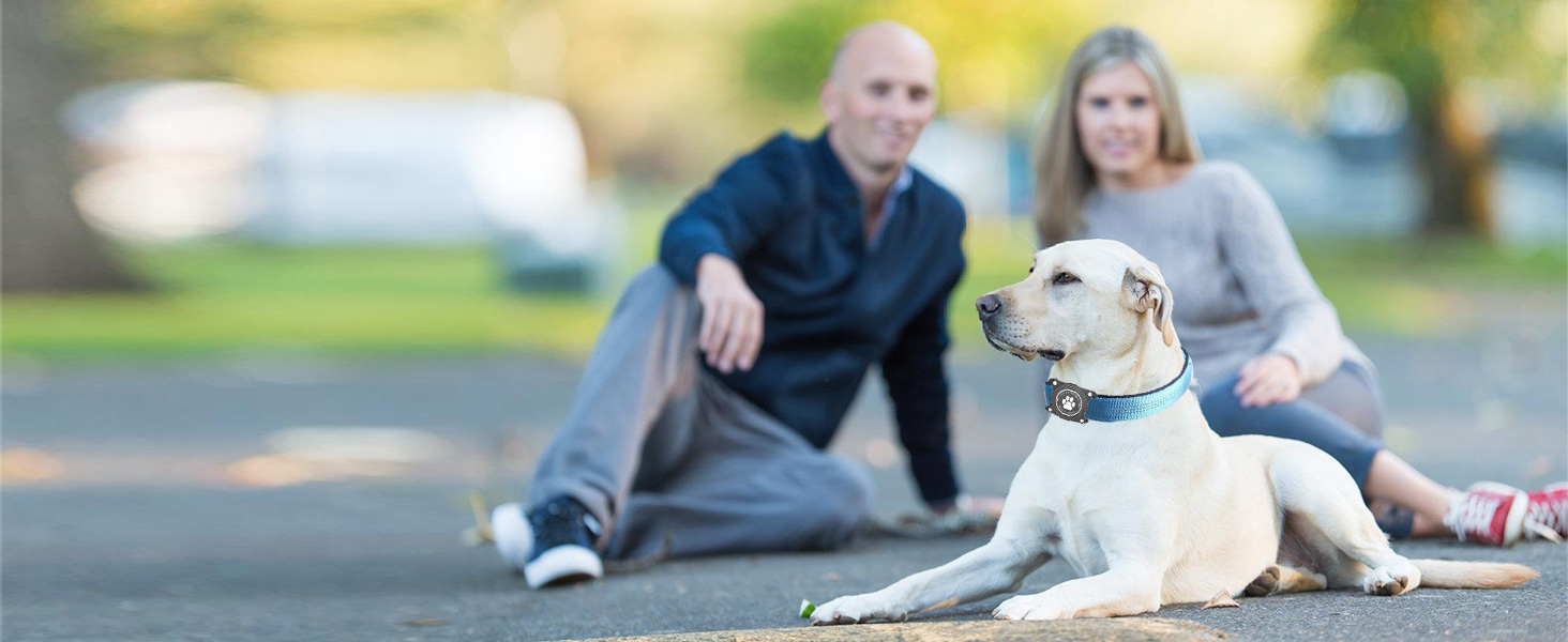 Світловідбиваючий нашийник для Apple AirTag для собак, регульований, водонепроникний, чорний, L (37.5-51.5 см)