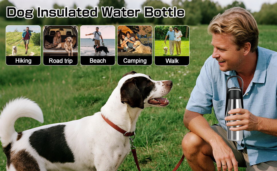 Водяна пляшка для собак на прогулянці: не протікає, з нержавіючої сталі, 750 мл (Чорний)