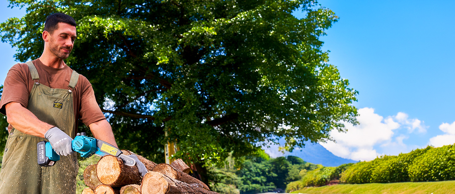 SEESII Безщіткова міні-бензопила 6 дюймів, акумуляторна ручна пила з 2 * 4000 mAh акумуляторами, одноручна пила з автоматичним змащуванням, сумісна з акумулятором Makita 18V, електрична пила для дерева, гілок 6 дюймів безщіткова