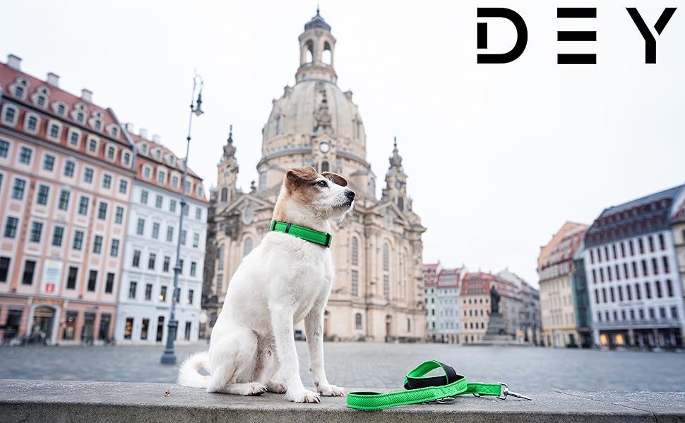 Преміум нашийник для собак DEY Air Mesh | Регульований | для малих, середніх та великих собак | багато кольорів та розмірів | нашийник для собак та котів | нашийники для собак | нашийник для цуценят | Рожевий, M [M/L] - 2,5 x 34-49 см Рожевий