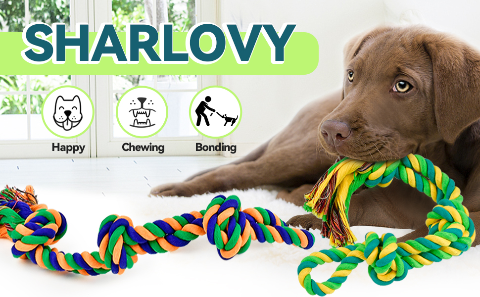 SHARLOVY XL іграшка для собак, нейлонова, для агресивних гризунів, великих порід, набір 14 шт., міцна, не знищується, для цуценят при зміні зубів, для великих собак, 2 упаковки