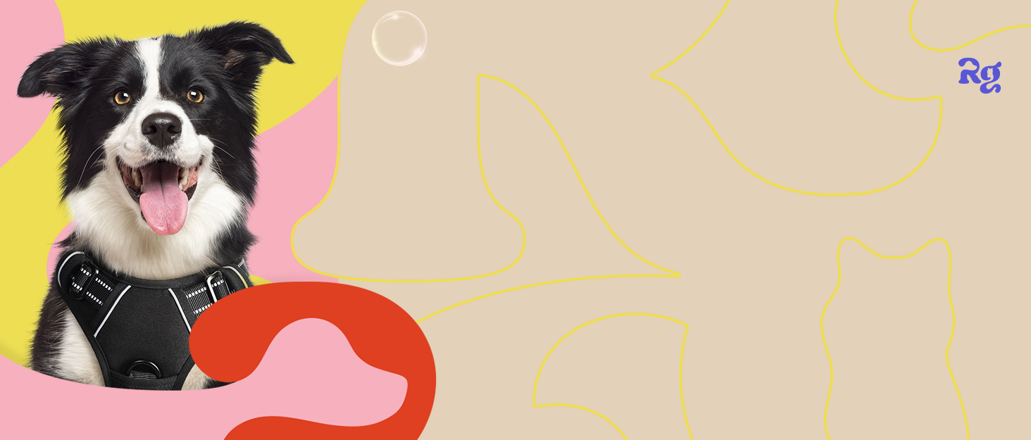 Нашийник для собак Rabbitgoo, великі породи, регульований, проти тяги, з ручкою, м'який, світловідбиваючий, блакитний, L (XL, 1 шт.)