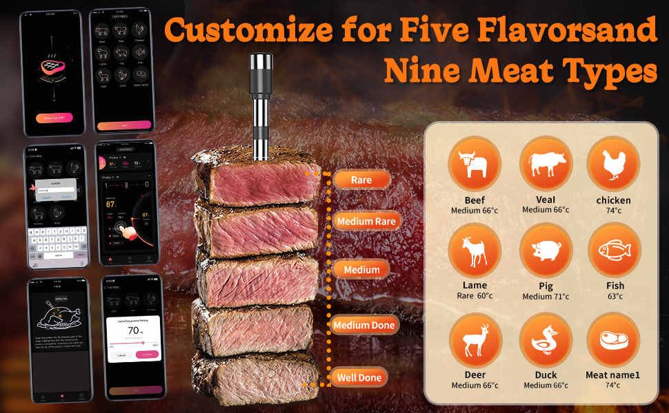 Бездротовий термометр для м'яса та гриля з Bluetooth та двома зондами, IP67, для приготування на грилі, в духовці, для копчення
