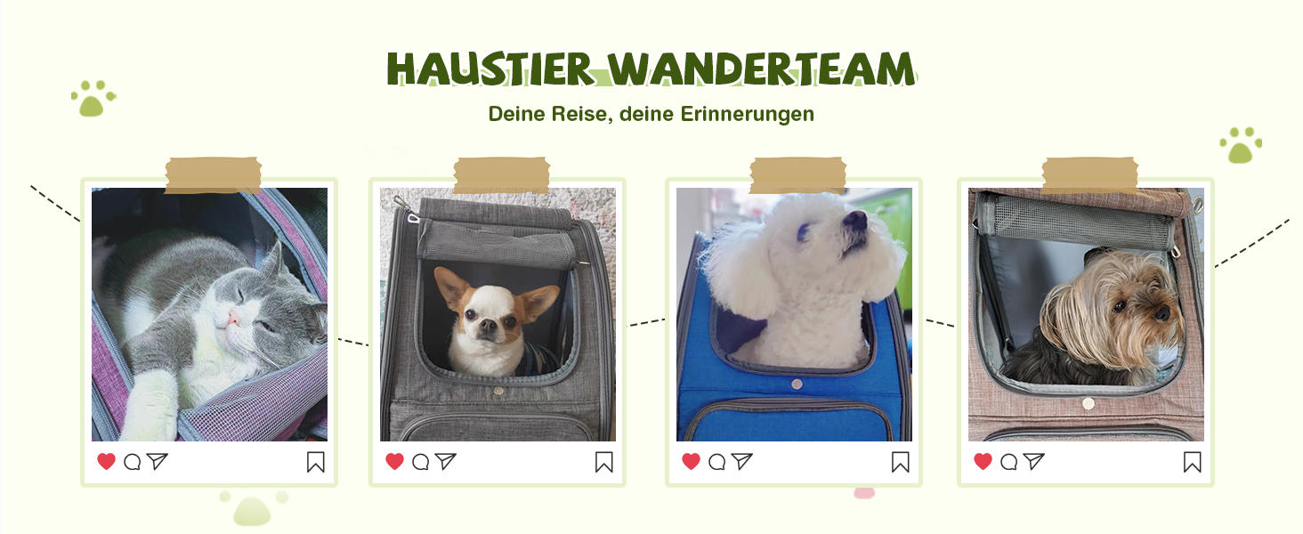 Рюкзак для котів та собак ALLSOPETS, складний, дихаючий, з сонцезахистом, для маленьких котів та собак, ідеальний для подорожей, кемпінгу та піших прогулянок (Беerenроже)