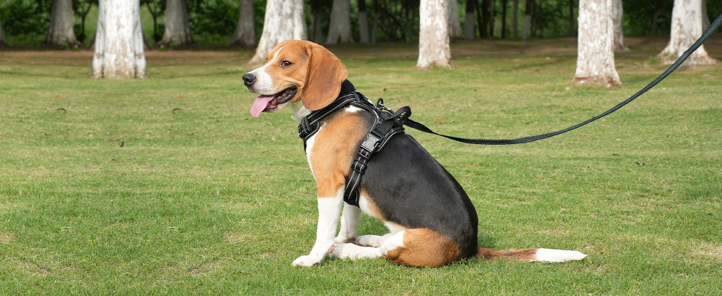 Світловідбиваючий нашийник для собак Joytale з LED, перезаряджуваний, для середніх собак, не тягне, з ручкою, регульований, для нічних прогулянок, чорно-синій, M (1 шт.)