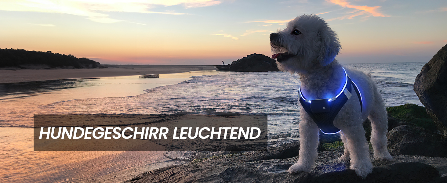 Світловідбиваючий нашийник для собак PcEoTllar з LED підсвічуванням, рожевий (3 режими)