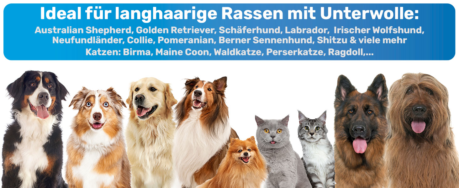 Щітка для собак та котів з довгим хутром BluePet: видаляє підшерстя та ковтуни, захищає верхній шар, ідеально для линьки (M-L породи, M-L + шампунь)