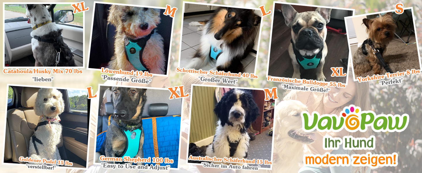 Автомобільний поводок для собак, шлейка з ременем безпеки, чорний, великий, дихаюча сітка