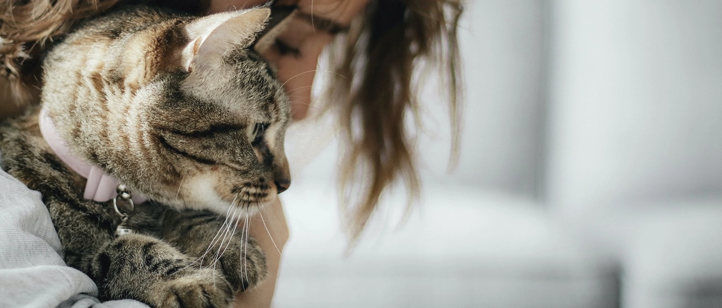 Килимок для котів на батарею Happi N Pets, сірий, 55 x 34 x 27 см