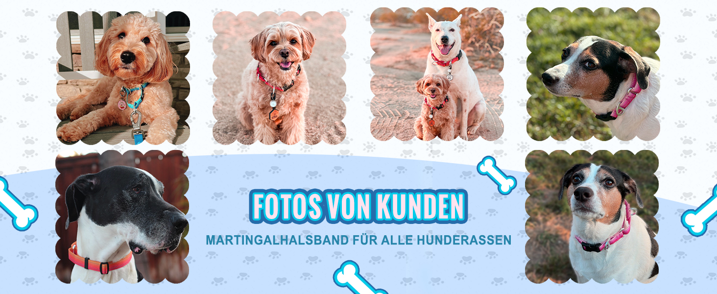 Нашийник для собак Martingale, світловідбиваючий, з зупиняючою функцією, для великих, середніх та маленьких собак, нейлон, блакитний, розмір L