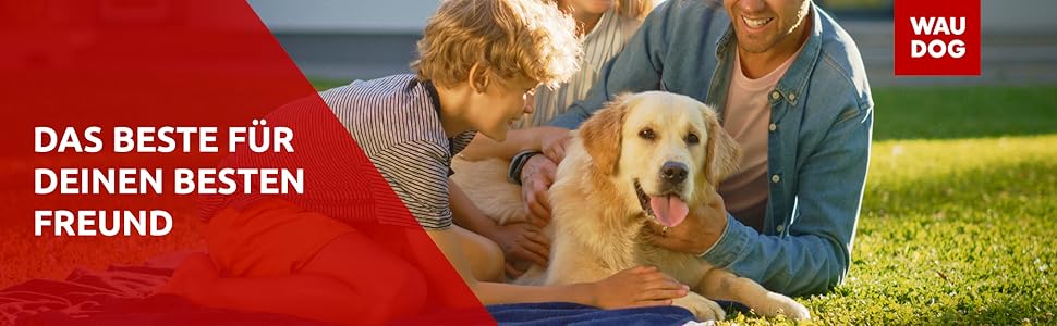 Стильний шкіряний нашийник для собак WAUDOG: для маленьких, середніх та великих порід, 20-25 см, 8 мм, помаранчевий