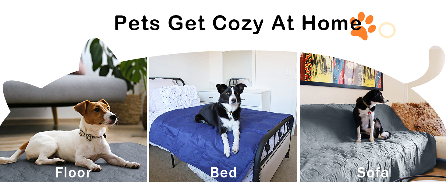 Водонепроникний килимок для собак Pawsee, антиковзкий, 150 x 120 см, сірий. Захисний килимок для собак, диван, собачий софа, для дому та подорожей, легко миється. Підходить для великих собак та котів.