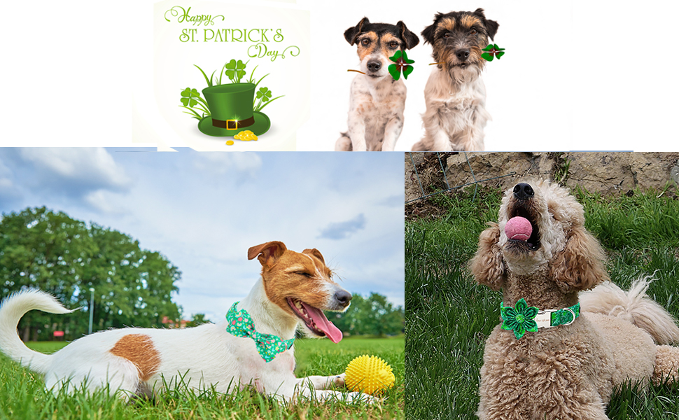 Гірлянди на День Святого Патріка для собак: стильний аксесуар з трилистником (XS, WhiteTrefoil)