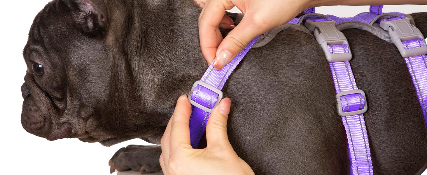 Шлейка для собак Huntboo, безпечна та надійна, з відбиваючими елементами та м'якою ручкою, регульована жилетка для маленьких собак, для прогулянок та тренувань (S, Лавандово-фіолетовий, упаковка з 1)