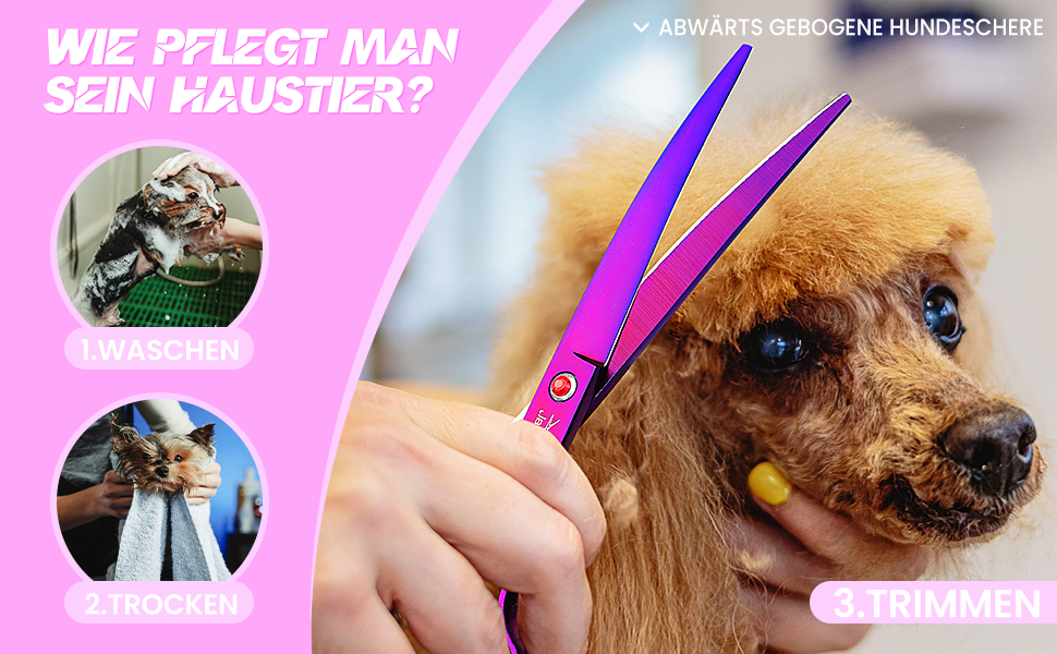 Професійна вигнута ножиця для собак JASON - 7,5' ножиця для грумінгу собак з японської нержавіючої сталі. Ножиці для собак та котів (вигнуті, фіолетові)