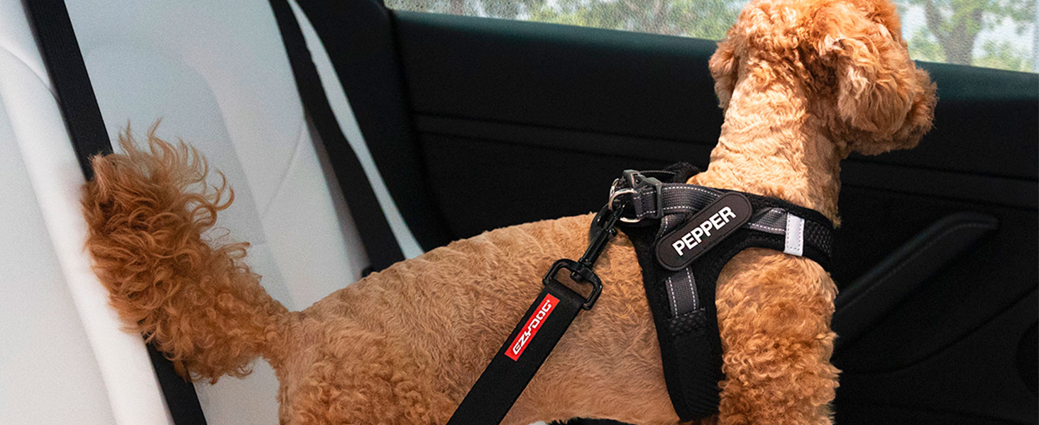 Шлейка для собак EzyDog FORMFIT для маленьких собак – дихаюча сітка 3D Air Mesh, легка, регульована, з відбиваючими елементами та міцним D-подібним кільцем (XS, Червона)