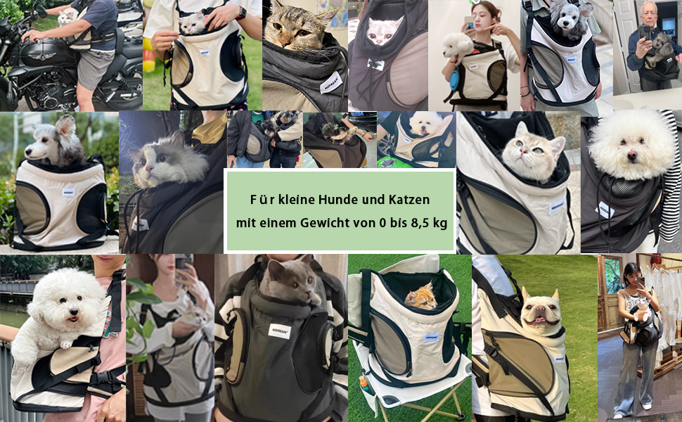 Рюкзак для собак та котів, рюкзак-переноска для маленьких та середніх собак та котів до 8.5 кг, дихаючий та зручний, для подорожей та активного відпочинку на природі, бежевий