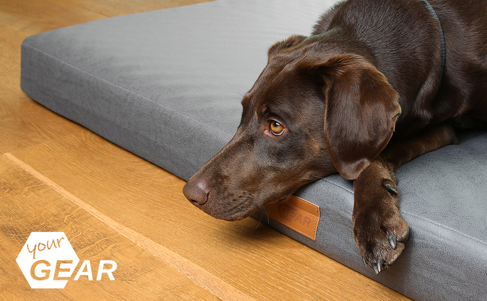 Ваше ліжко для собак GEAR Biella, ортопедичне, з екошкіри, миється, захищає суглоби, високий рівень комфорту (120x80x10 см)