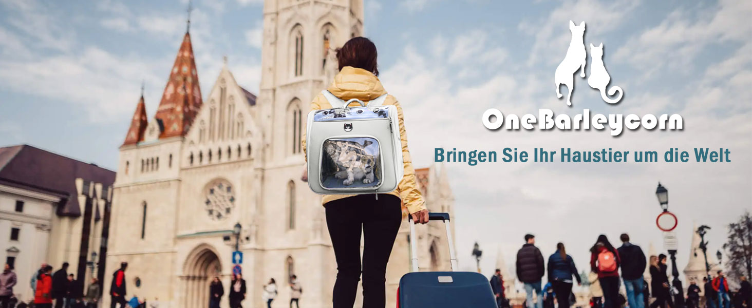 Рюкзак для кота з вікном, переноска для котів та маленьких собак (до 8 кг), сірий, дихаючий, складаний