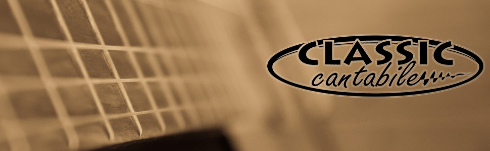 Класична акустична гітара Westerngitarre WS-10WH-CE з підсилювачем, Dreadnought, Cutaway, 3-Band EQ + Presence, Тюнер LCD, XLR та Klinke, білий глянцевий лак