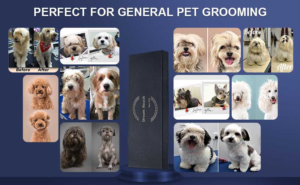 Ножиці для собак Dream Reach 6,5 дюйма, професійні, з нержавіючої сталі 440C, вигнуті, у подарунковій коробці