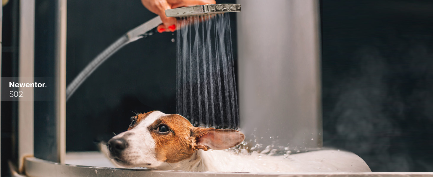 Душова лійка Newentor зі шлангом 1,5 м, високий тиск, 6 режимів, срібна (з золотим душовим краном)