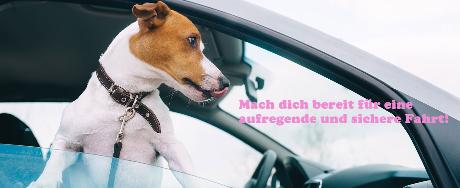 Автокрісло для собак iPetba – безпечне, антиковзаюче, для маленьких собак, зелено-чорне