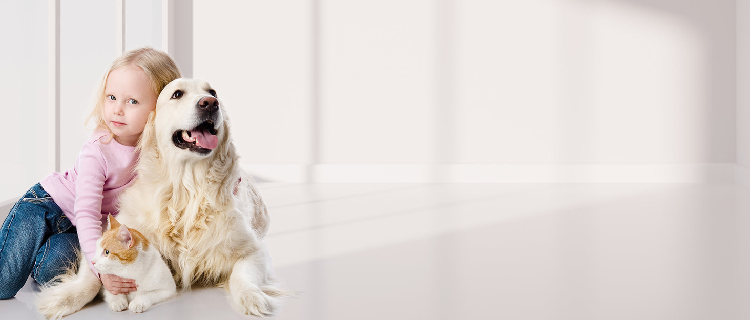 Автоматична машинка для метання м'ячів Pet Prime для великих собак, 10-40 футів, 6 тенісних м'ячів 2,5''