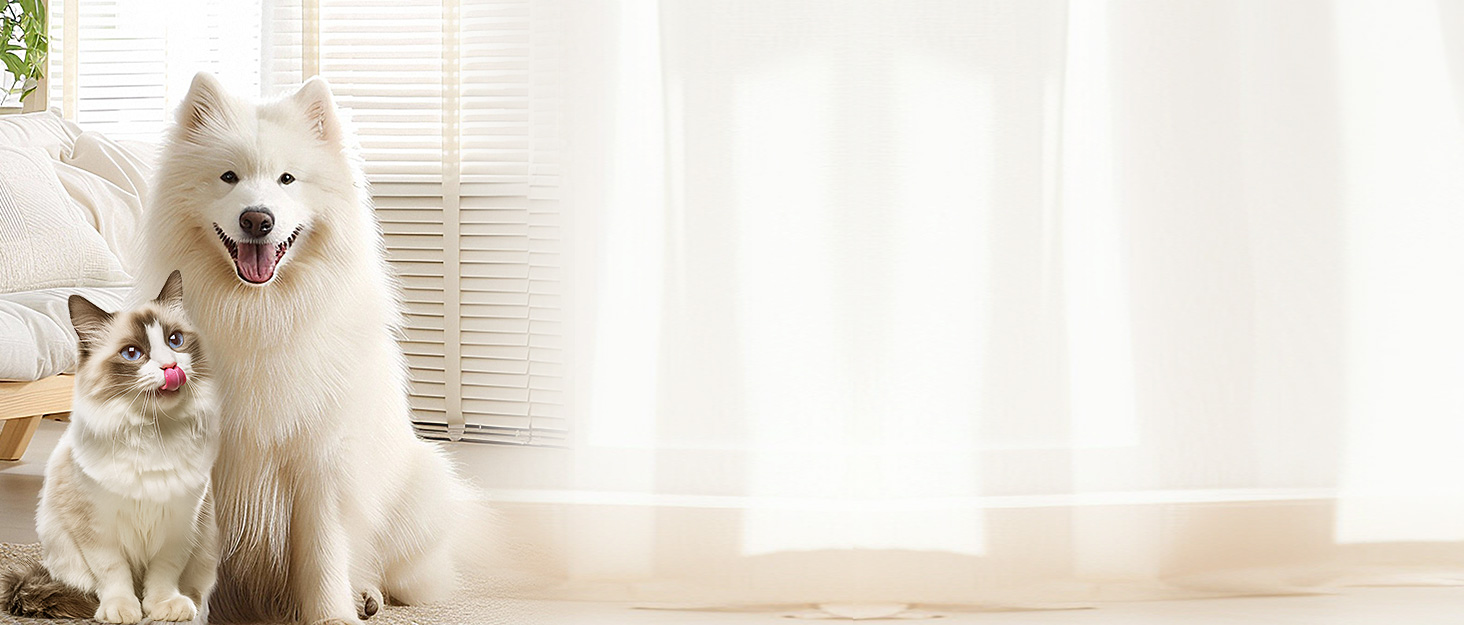 Електричний точилка для кігтів собак та котів з підсвічуванням та 2 колесами, тихий та потужний, з низькою вібрацією, з набором змінних насадок